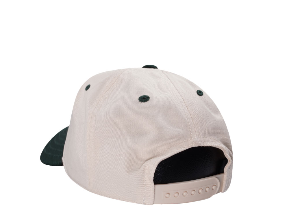 American Needle Yosemite National Park Roscoe Ivory Snapback Cap