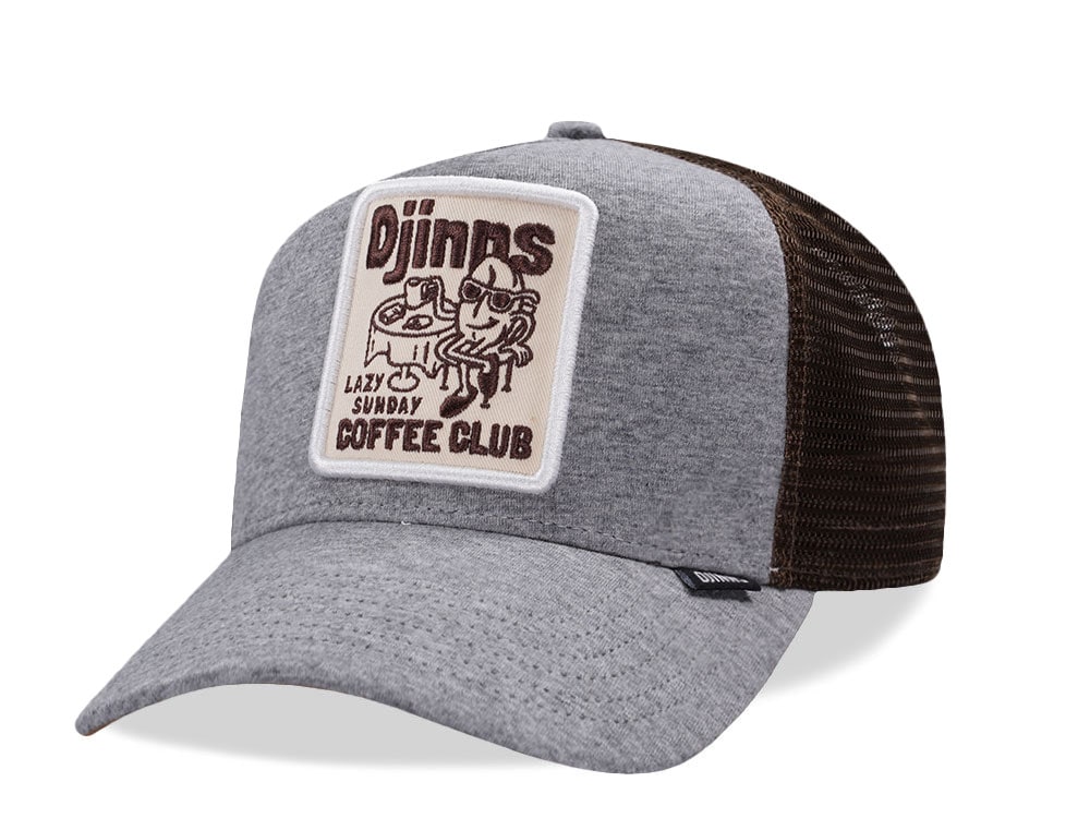 Djinns Lazy Sunday Coffee Gray Trucker Snapback Cap