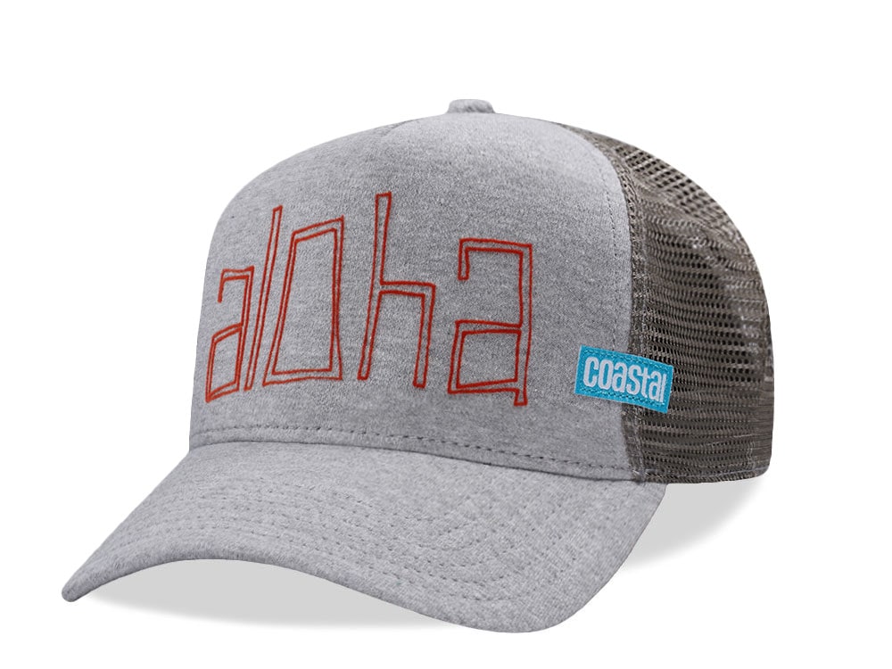 Djinns Aloha Jersey Gray Trucker Snapback Cap