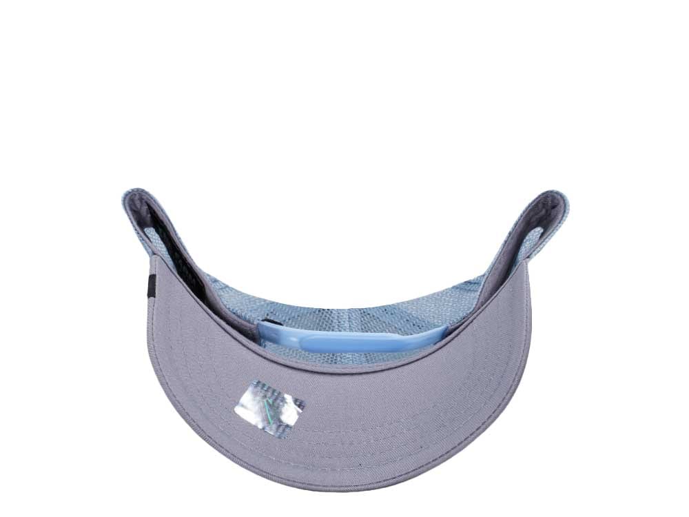 Goorin Bros Lion King Gray Trucker Snapback Cap