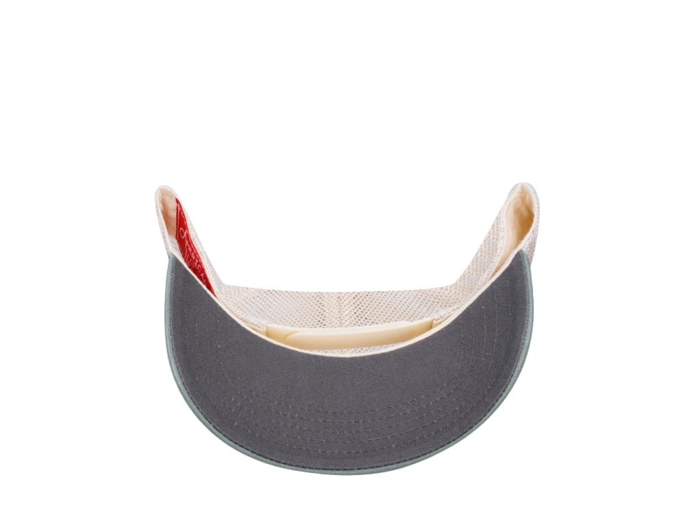 American Needle Vermont Domino Ivory Cool Gray Cedar Trucker Snapback Cap