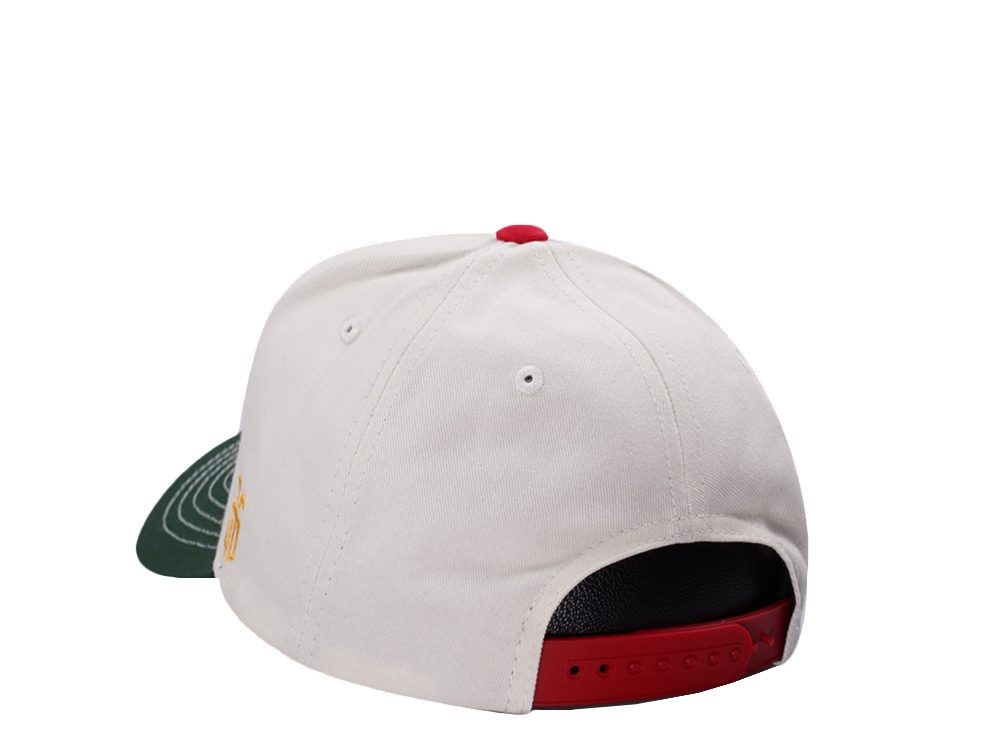 Parallel Union Mexico Skull Headdress Chrome Two Tone Edition Snapback Cap